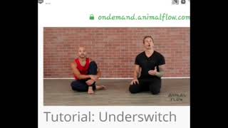 Tutorial Animal Flow : Underswitch