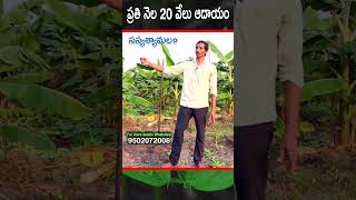 ప్రతి నెల 20 వేలు ఆదాయం || shorts organic agriculture trending viral farming sasyasyamalam