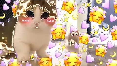JEDAG JEDUG KUCING IMUT |TIK TOK 🔥