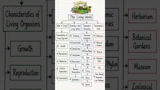 NEET 2027 Starts Here The Living World Complete Mind Map#neet2026 #ncert #cbse11thbiology
