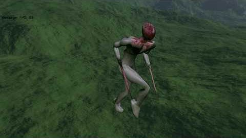 Environmental Mapping