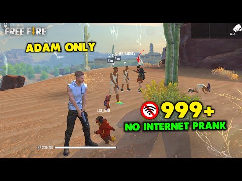 ONLY ADAM NO