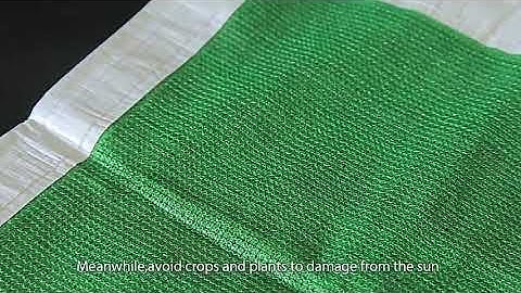 China Factory Construction 100% HDPE Material Scaffold Safety Netting Debris Netting