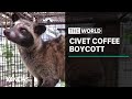 Hidden video reveals caged civet cats living in terrible conditions | The World