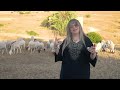 AGHDAR RACHIDA TAGHRIBT Vídeo Clip 2025 AGHDAR RACHIDA TAGHRIBT Vídeo Clip 2025