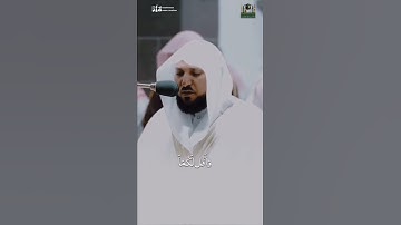 وَنَادَاهُمَا رَبُّهُمَا أَلَمْ أَنْهَكُمَا عَن تِلْكُمَا الشَّجَرَةِ . تلاوه الشيخ ماهر المعيقلي