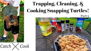 [Mini Series] COOKING Snapping Turtles! CATCH & COOK! Part 3 HOW TO cook snapping turtle.