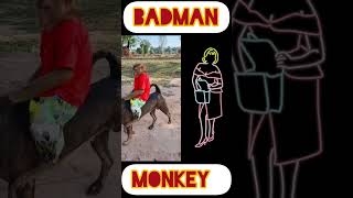 monkey  dogs  fight #funny #reaction #viral #komedy #duet #facts #talented #manoj #intertainment