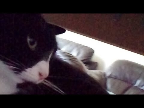 Xxxxxxxxx - YouTube