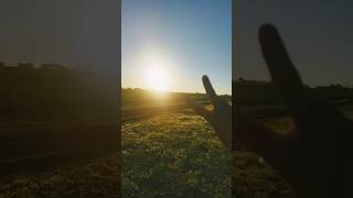 4.46 зустріла світанок)) #світанок