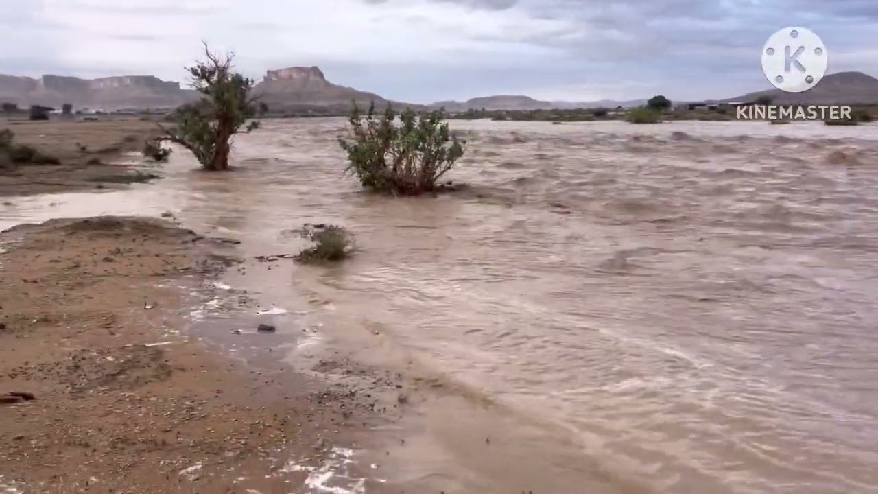 سيول الحريق ١٤٤٤