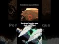 Portugal quando ouve isso 😂👍