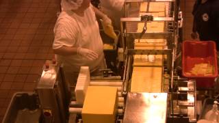 Cheese Factory.mp4