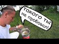 В поисках ГИГАНТСКИХ раков / жаренные раки