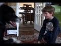 Ender Meets The Nalts Family - Cuteness Follows (Urgo's YTO 41 Day 325) pictures