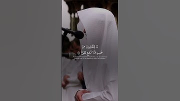 ‏{يعلم ‌خائنة الأعين وما تخفي الصدور} تلاوة مؤثرة من صلاة الفجر 1محرم 1446 للشيخ عبدالله الموسى