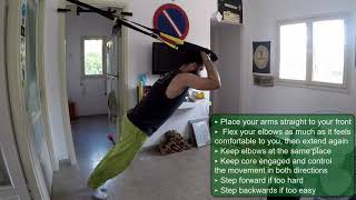 PalgiTraining - TRX Tricep Extensions