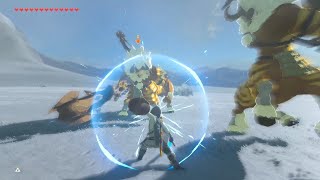 Defeating two Golden Lynels at once using ONLY ONE "POT LID" as a shield | Legend of Zelda: BotW screenshot 5