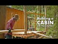 Cabin extension(2) and Japanese plum wine(Umeshu)