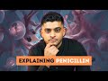 Penicillin made easy  pharmacist explains