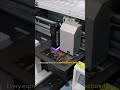 Printing a puppy family portrait with Nocai A3max UV printer 🐶