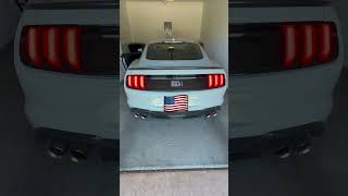 Mach 1 Mustang Cold Start Wborla Switchfire