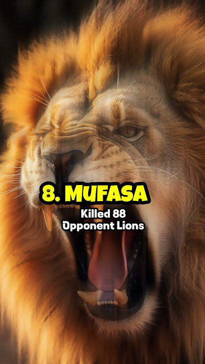 Top 10 Most Powerful Lions Ever Born