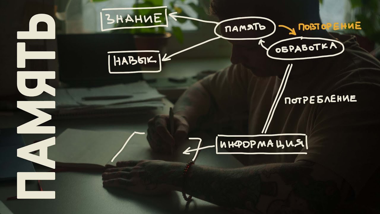 Миф о плохой памяти. Дело вовсе не в ней! | tenzor archi