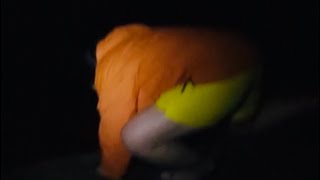 Snake Island the movie trailer.