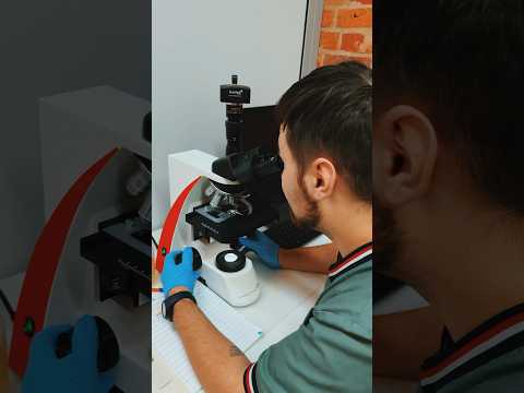 На вас какал паук? 🕷️ #паук #птицеед #интересныефакты #факты #природа #микроскоп