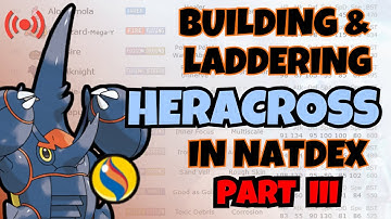 Building & Battling Mega Heracross in NatDex!