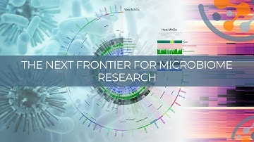 Culture-free phage and plasmid discovery and host-attribution with proximity ligation (Hi-C)