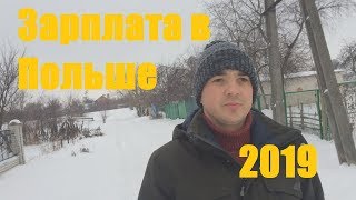 Сколько можно заработать в Польше 2019.Какая зарплата в Польше