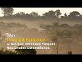 SOS Biodiversidad: Crisis que Amenaza Parques Nacionales Colombianos - TvAgro por Juan Gonzalo Angel
