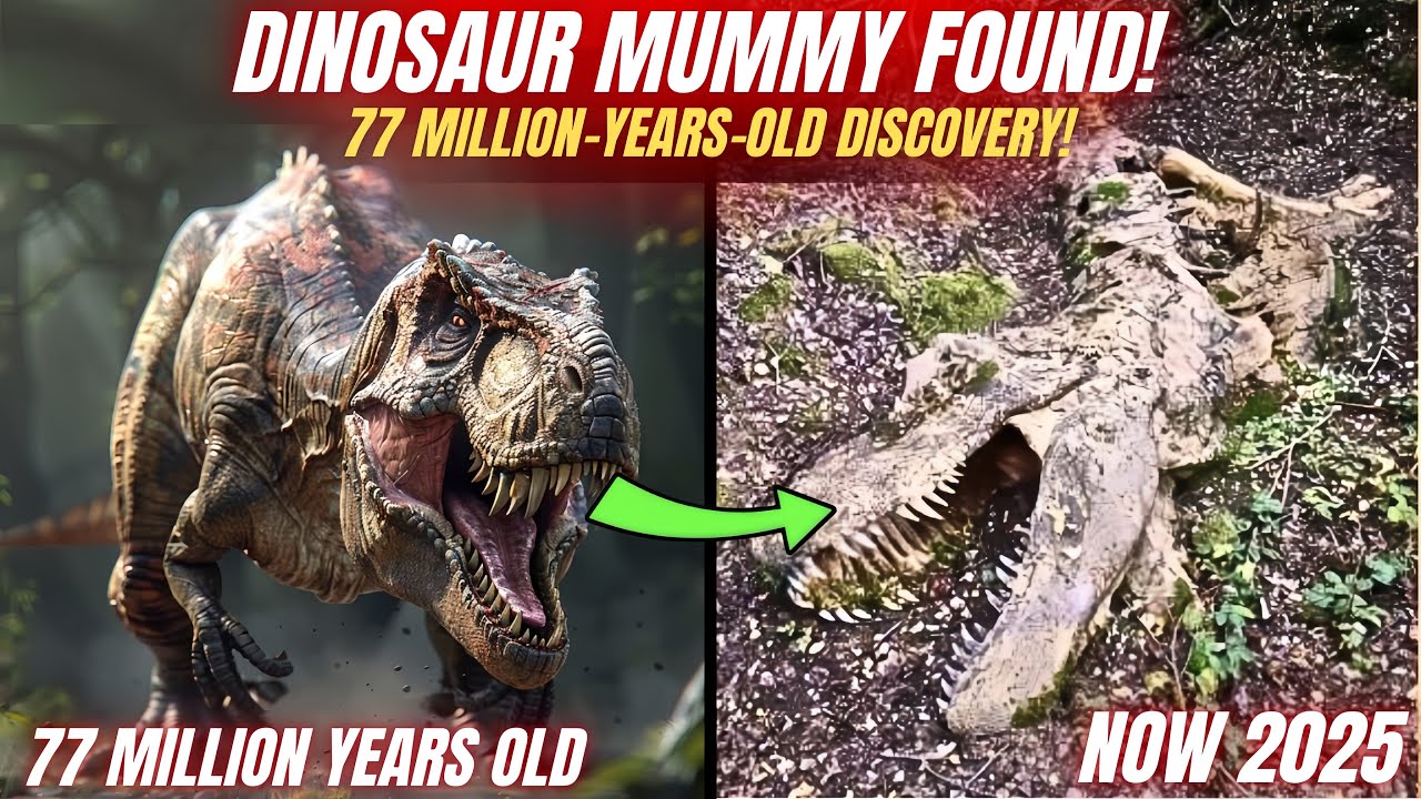 Dinosaur Mummy Found in the Amazon Jungle: 77 Million Years Old Fossil 