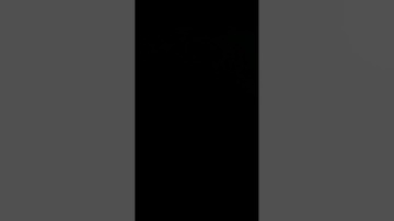 تلاوة من صلاة العشاء #القرآن_الكريم #اسلاميات