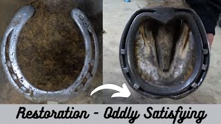 Hoof Restoration- Satisfying- ASMR