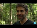 France: 2,000 hectares lost in forest fires • FRANCE 24 English