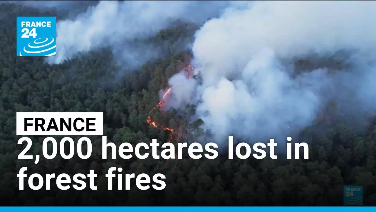 France: 2,000 hectares lost in forest fires • FRANCE 24 English