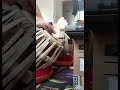 Good Morning Sunbeam, Freestyle Tabla Solo 🙏🏼☀️🌎#tablafusion