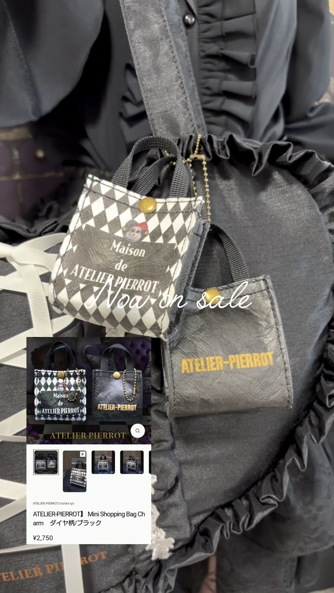 新作】ぬい撮りにも大活躍❣️【ATELIER-PIERROT】Mini Shopping Bag
