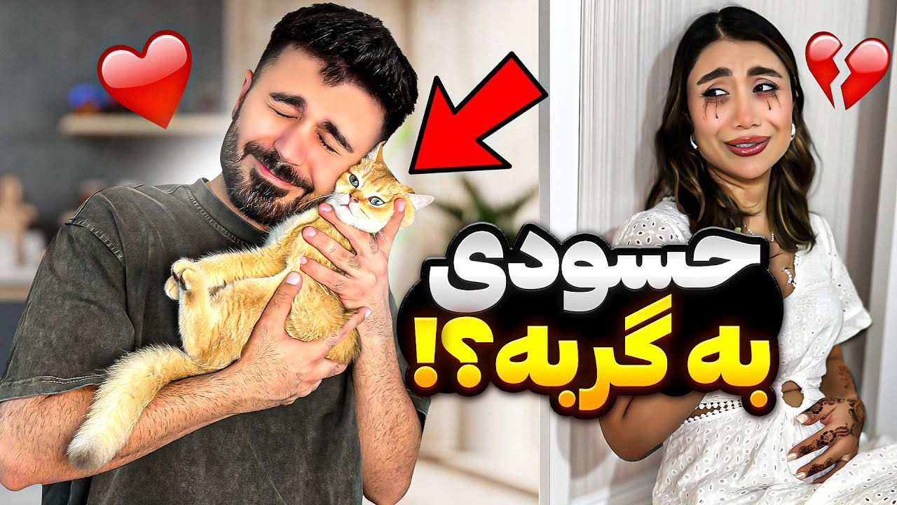 گربشو به زنش ترجیح داد😳دلش شکست💔 @Melismdi