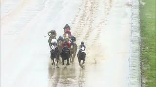 Race 4 Master 2026/05/23