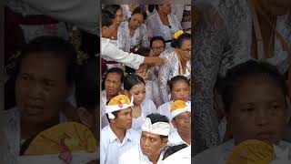 Download Lagu Detik-detik gadis cantik kerauhan , mogi rahayu #tradisibali MP3 Download Lagu Detik-detik gadis cantik kerauhan , mogi rahayu #tradisibali MP3