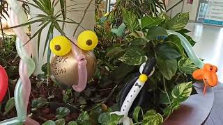 Vignette de la vidéo youtube