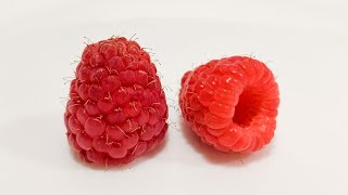 Raspberry Timelapse - 38 DAYS