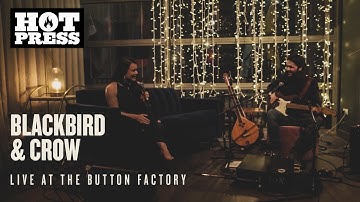 Blackbird & Crow, Live at The Button Factory, January 2021