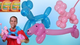 how to make balloon dog  balloon dog