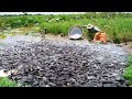 Unique Catching &amp; Catfish After Raining 2021 - Fishing Copper Fish &amp; Catfish Run Back Water