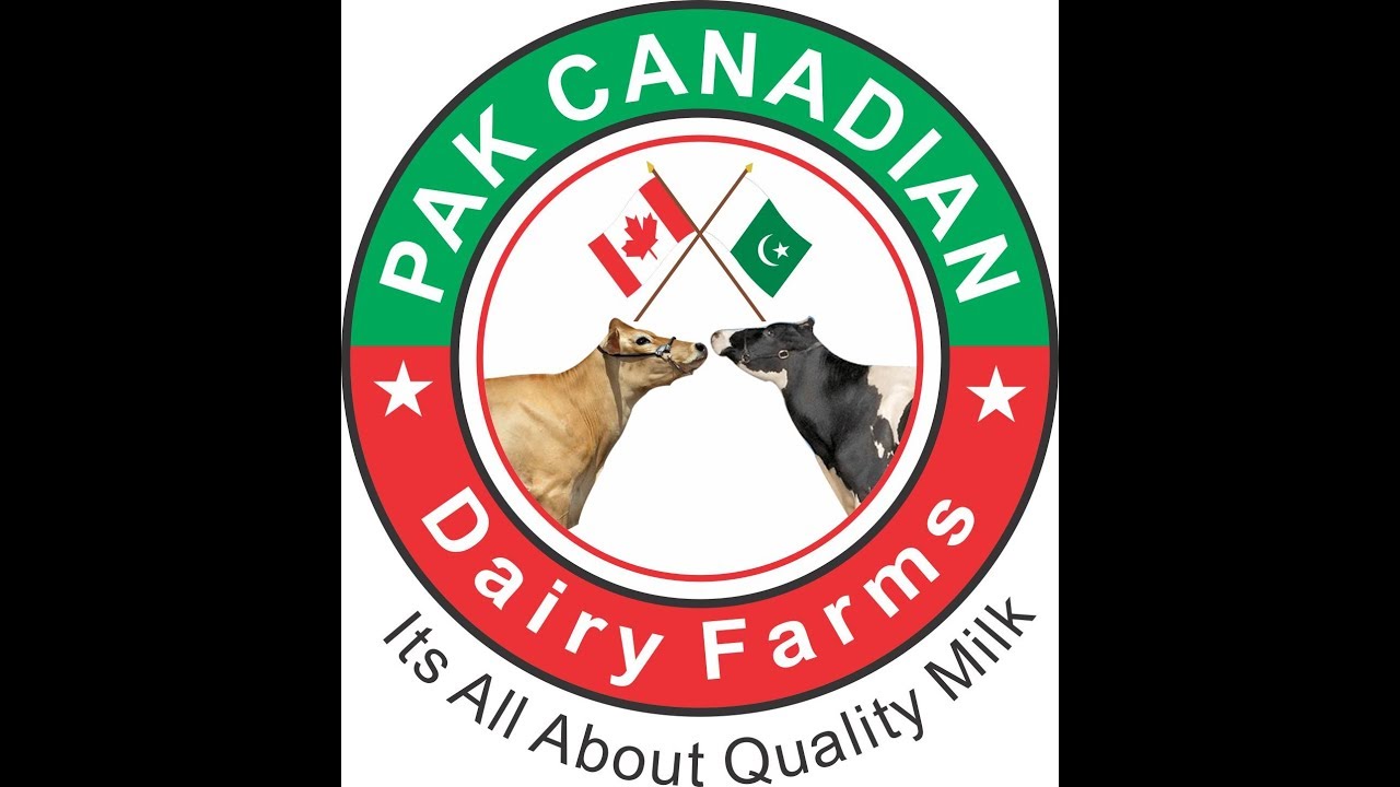 Pak Canadian Dairy Farms Pakistan YouTube
